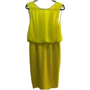 H&M Sleeveless Day to Evening Casual to Cocktail Dress